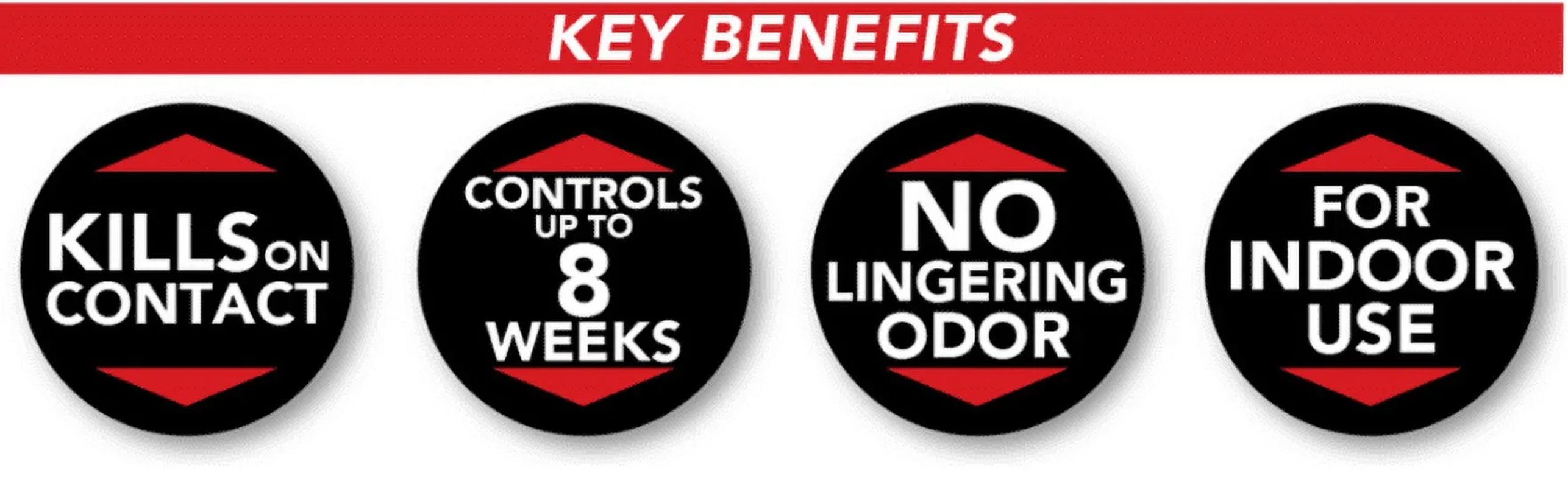 Ant, Roach & Spider Killer4, Aerosol Spray, 2/20-Ounce