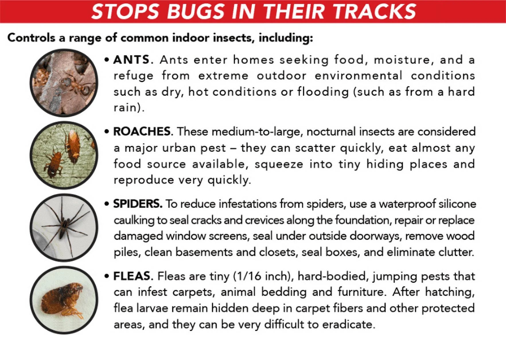 Ant, Roach & Spider Killer4, Aerosol Spray, 2/20-Ounce