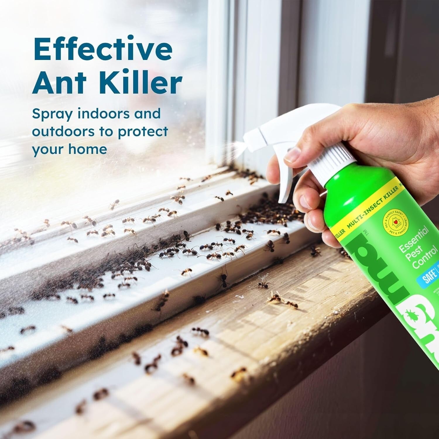 Bugmd Ant Spray – Insect & Pest Spray Indoor Safe for Pets, Roach & Spider Kill