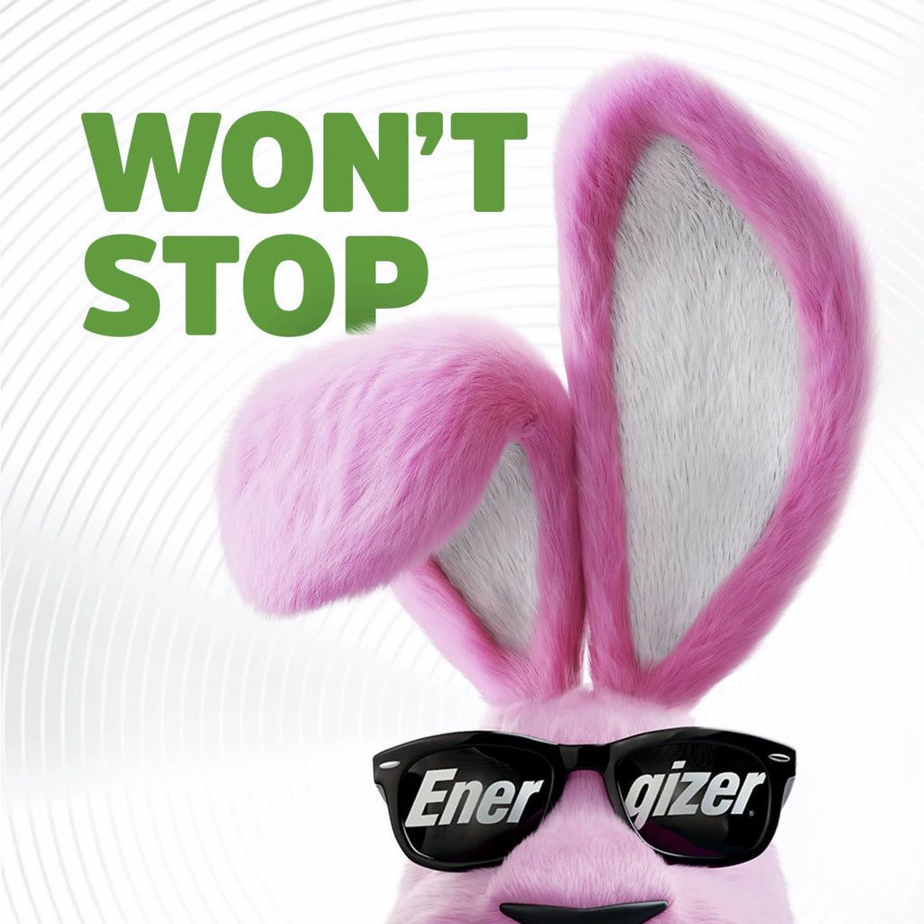 Rechargeable D Batteries (2 Pack), D Cell Batteries