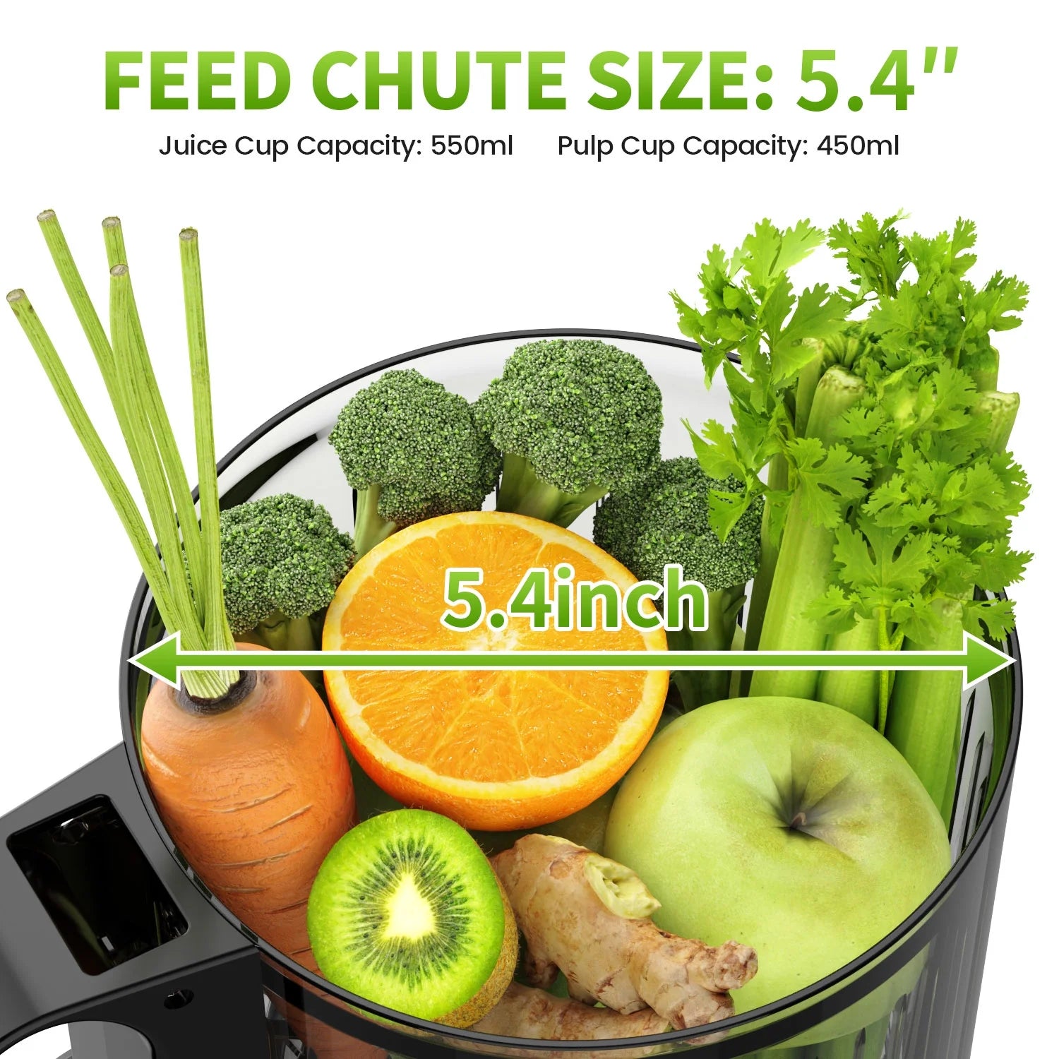 Cold Press Juicer Machine, 5.4 in Wide Feed Chute, up to 450W Professional Slow Masticating Juicer for Whole Vegetables & Fruits, Batch Juicing, Reverse Function to Clear Blockages