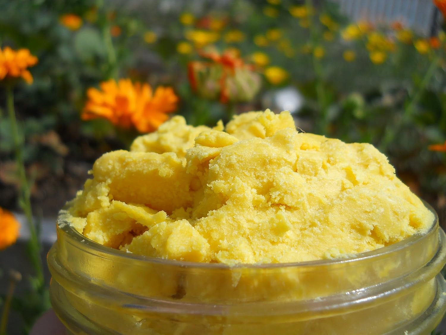 Premium Raw Unrefined African Shea Butter from Ghana (25 Pounds) - Grade A Yellow Shea Butter for Bulk and Wholesale Use