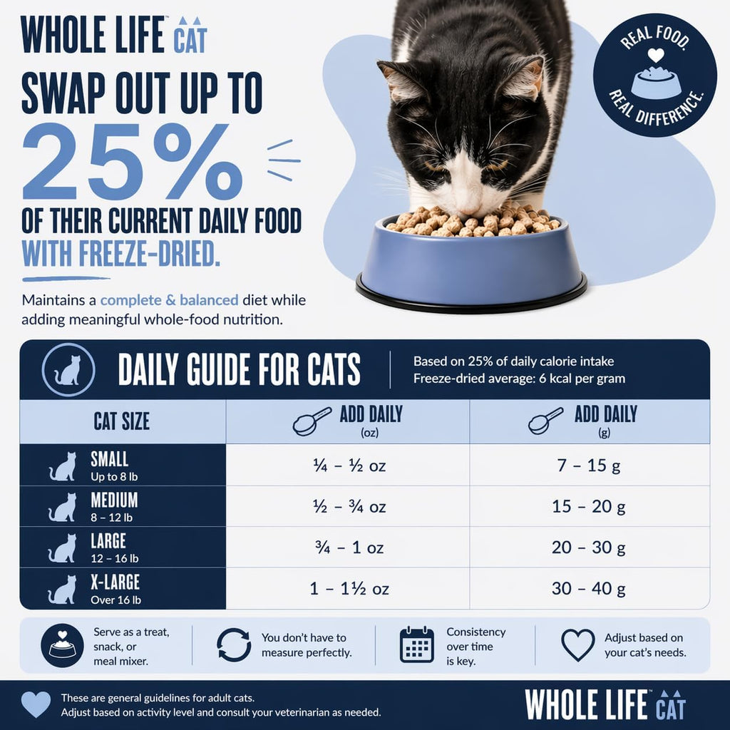 Whole Life Cat Just One Salmon Freeze Dried Cat Treats - 2.5 oz (Pack of 1)