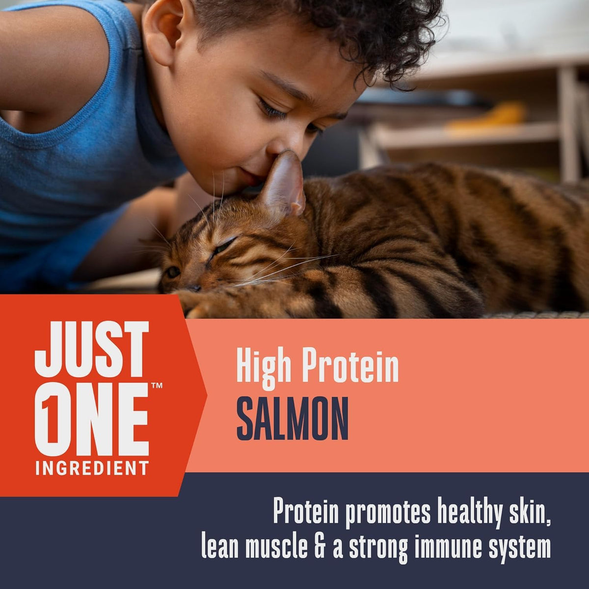 Whole Life Cat Just One Salmon Freeze Dried Cat Treats - 2.5 oz (Pack of 1)