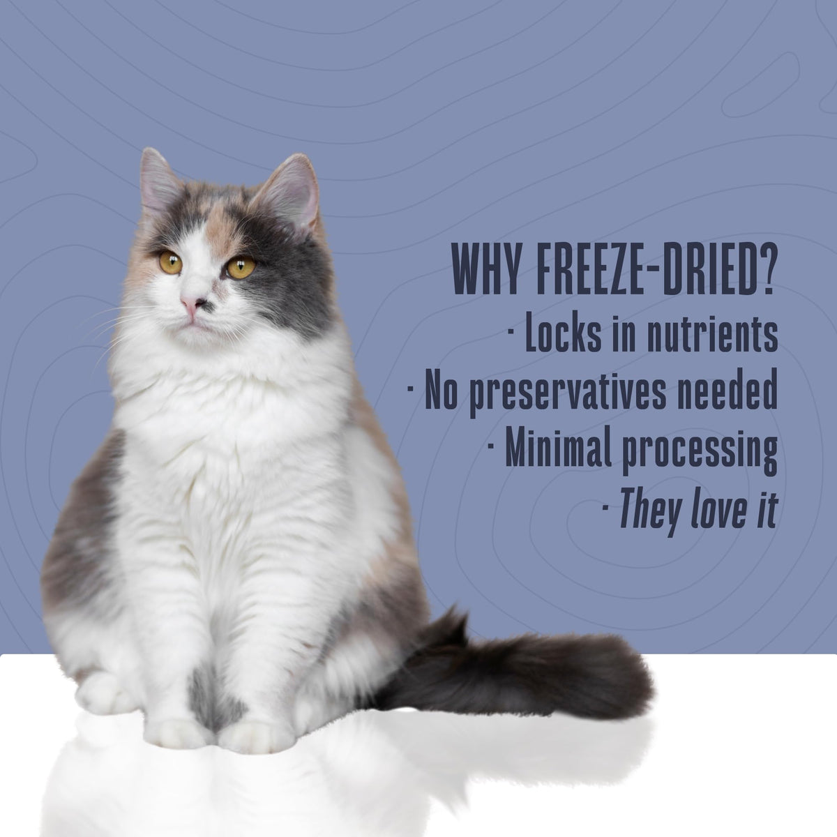 Whole Life Cat Just One Salmon Freeze Dried Cat Treats - 2.5 oz (Pack of 1)