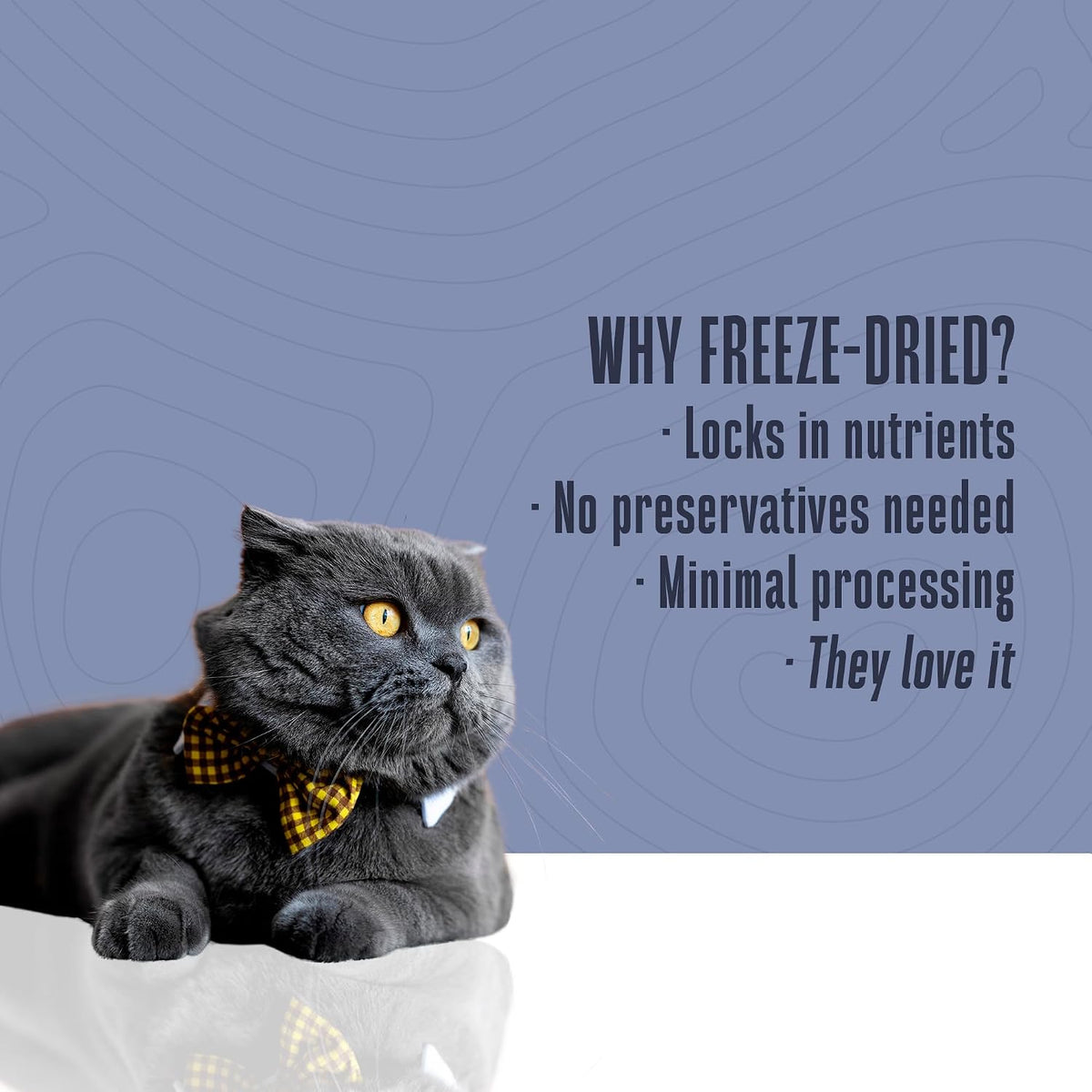Whole Life Cat Just One Salmon Freeze Dried Cat Treats - 2.5 oz (Pack of 1)