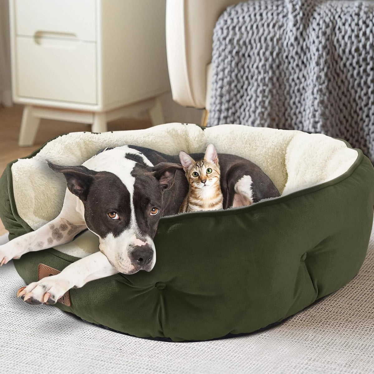 Asvin Small Dog Bed for Small Dogs, Cat Beds for Indoor Cats, Pet Bed for Puppy and Kitty, Extra Soft & Machine Washable with Anti-Slip & Water-Resistant Oxford Bottom, Grey, 20 inches