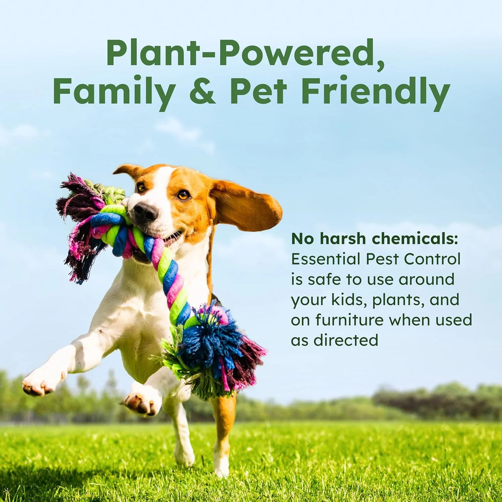 Ant Killer & Bug Spray - Roach and Cockroach Killer Indoor, Spider Spray for Home, Fly and Insect Defense, Natural, Safe with Essential Oils, Plant-Powered, Pest Control - Starter Kit