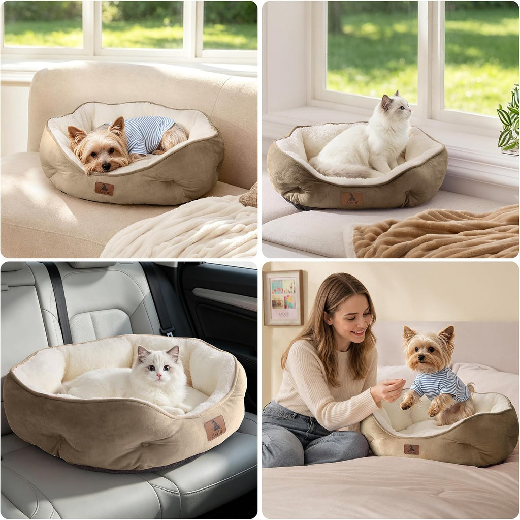 Asvin Small Dog Bed for Small Dogs, Cat Beds for Indoor Cats, Pet Bed for Puppy and Kitty, Extra Soft & Machine Washable with Anti-Slip & Water-Resistant Oxford Bottom, Grey, 20 inches