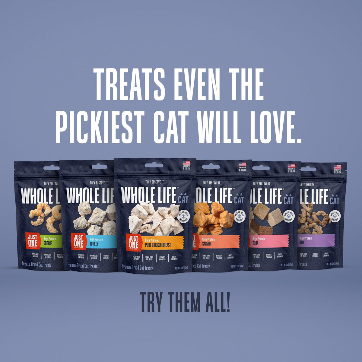 Whole Life Cat Just One Salmon Freeze Dried Cat Treats - 2.5 oz (Pack of 1)