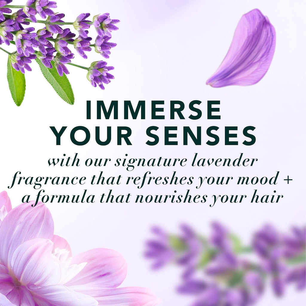 Herbal Essences Curls Collection Jojoba and Lavender Shampoo and Conditioner Set, 67.6 fl oz