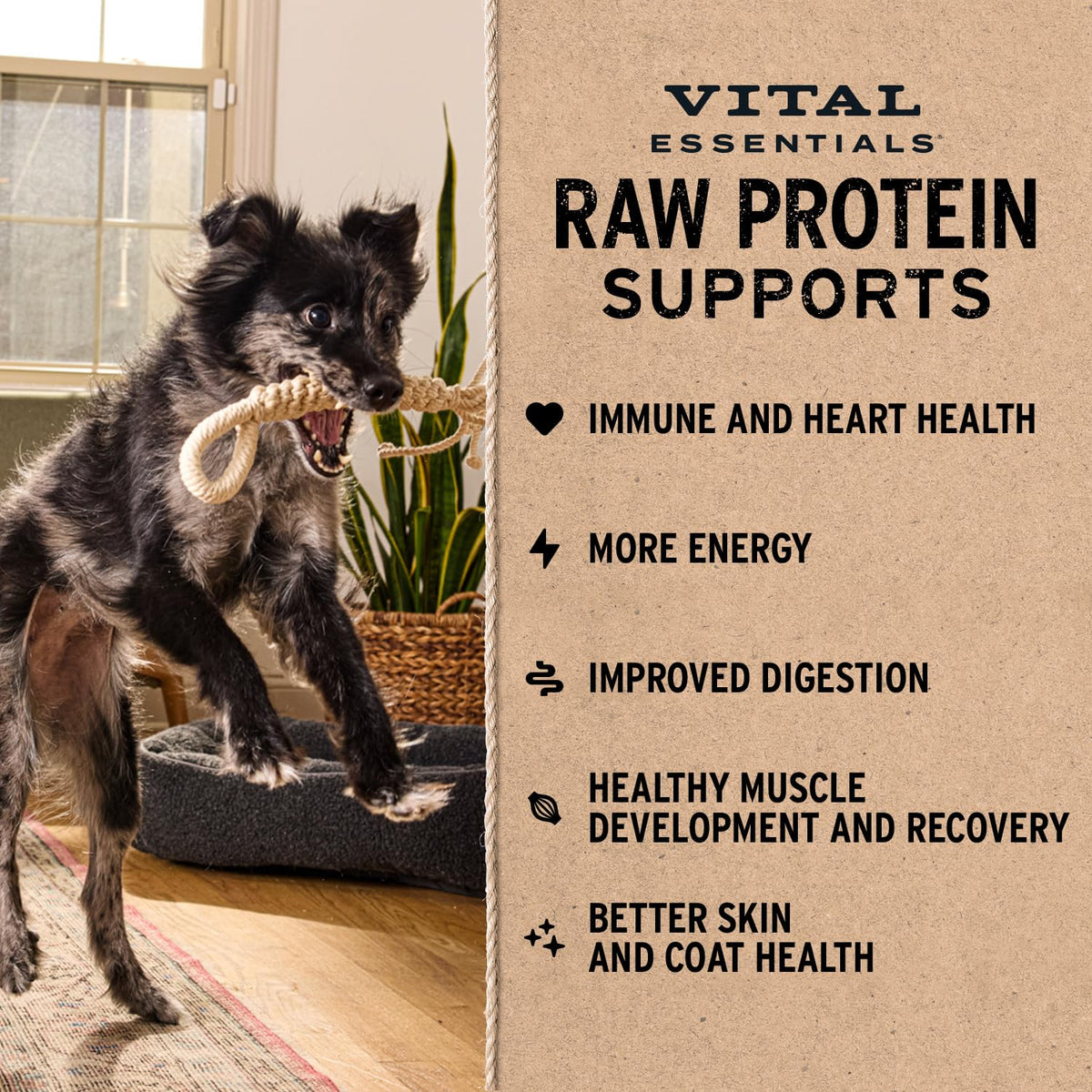 Vital Essentials Freeze Dried Dog Food, Turkey Crunchy Mini Nibs, 14 oz Bag