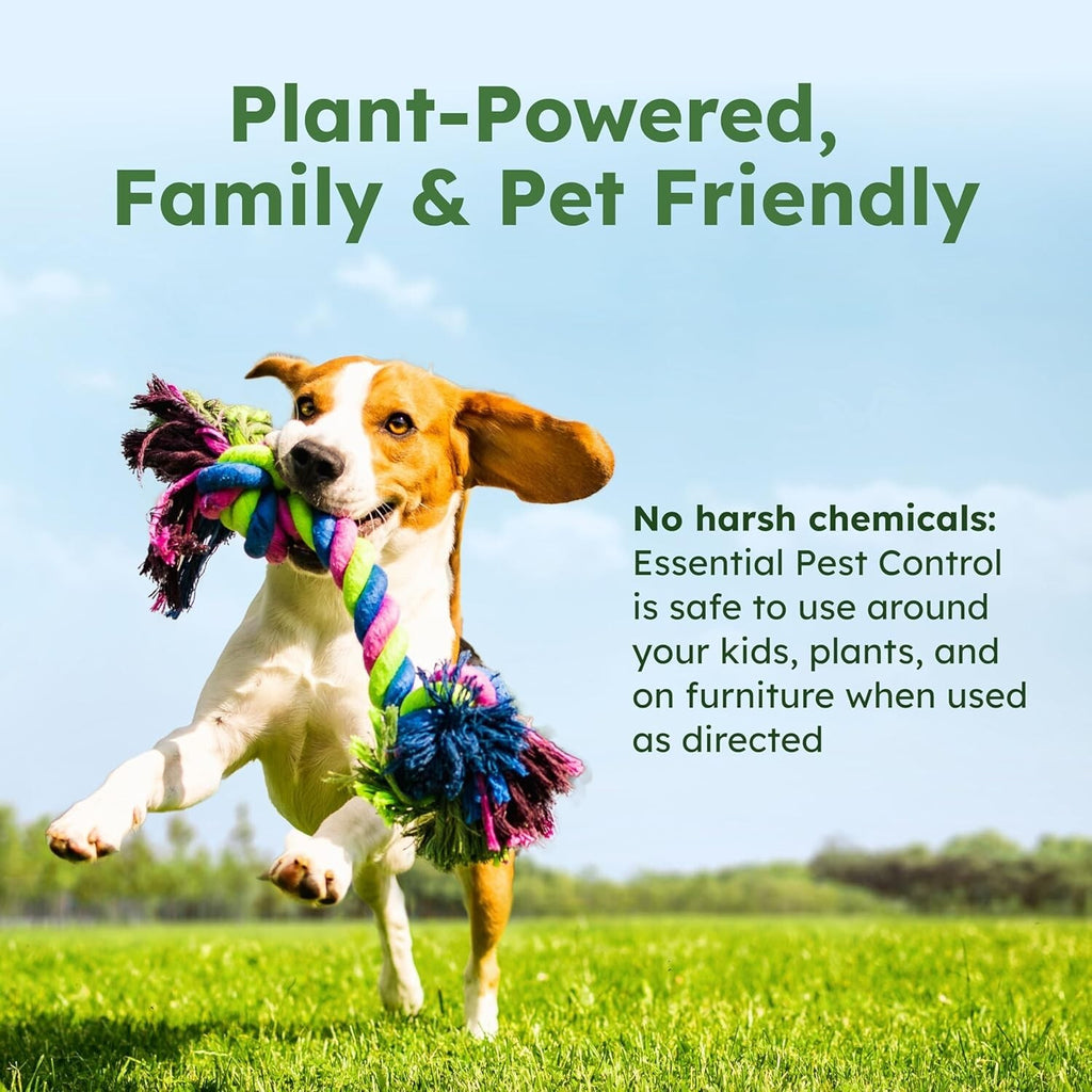 Bugmd Pest Control Essential Oil Concentrate for Home Bed Bug Spray 3.7Oz 1-2PCK