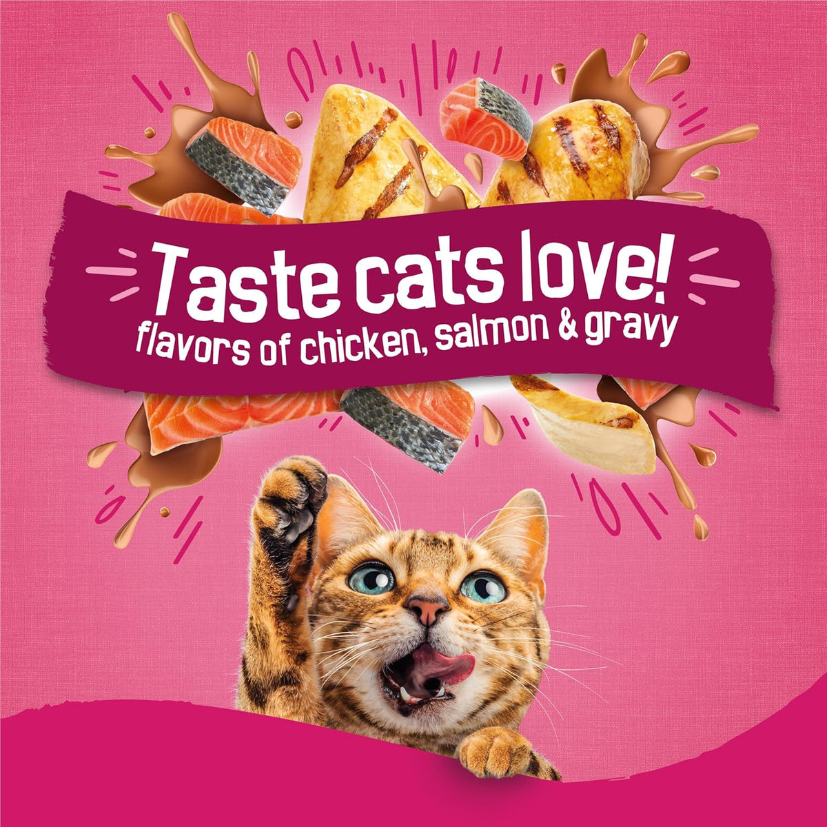 Purina Friskies Gravy Swirlers Dry Cat Food, Chicken & Salmon, 3.15 lb Bag