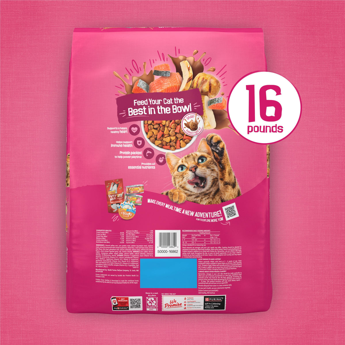Purina Friskies Gravy Swirlers Dry Cat Food, Chicken & Salmon, 3.15 lb Bag