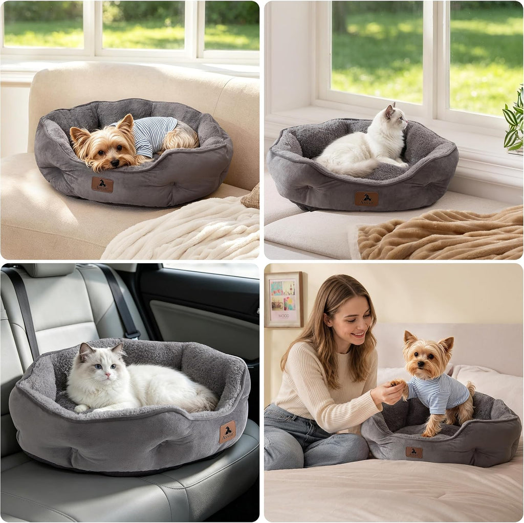 Asvin Small Dog Bed for Small Dogs, Cat Beds for Indoor Cats, Pet Bed for Puppy and Kitty, Extra Soft & Machine Washable with Anti-Slip & Water-Resistant Oxford Bottom, Grey, 20 inches