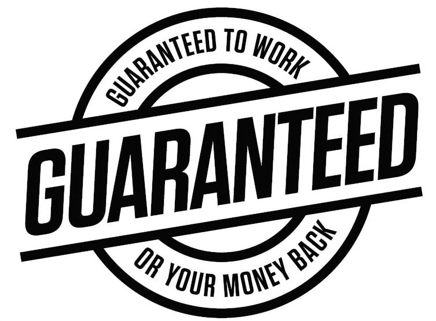 (2 Pack)  Roach & Flea Fogger, 3 Count, 2.7 Oz Cans