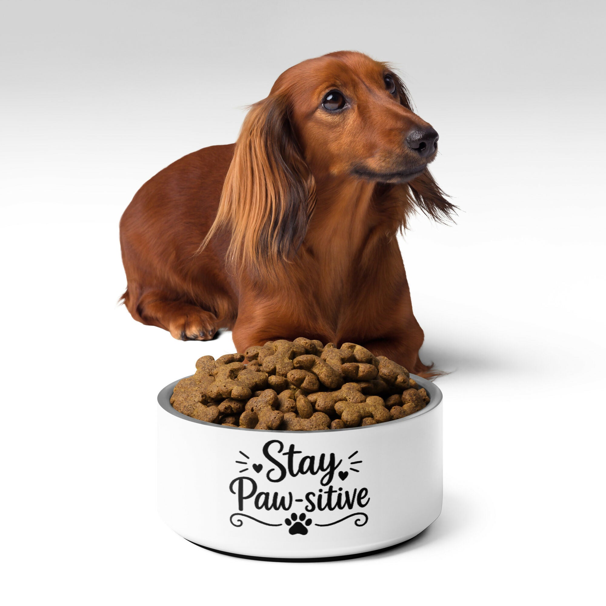 STAY PAWSITIVE PET BOWL