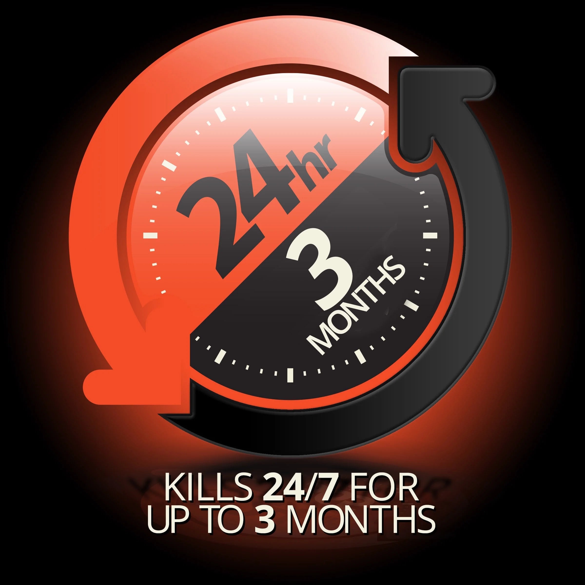 (3 Pack)  Max Roach Killing Gel for Indoor and Outdoor Use, 1 Syringe, 2.1 Ounces