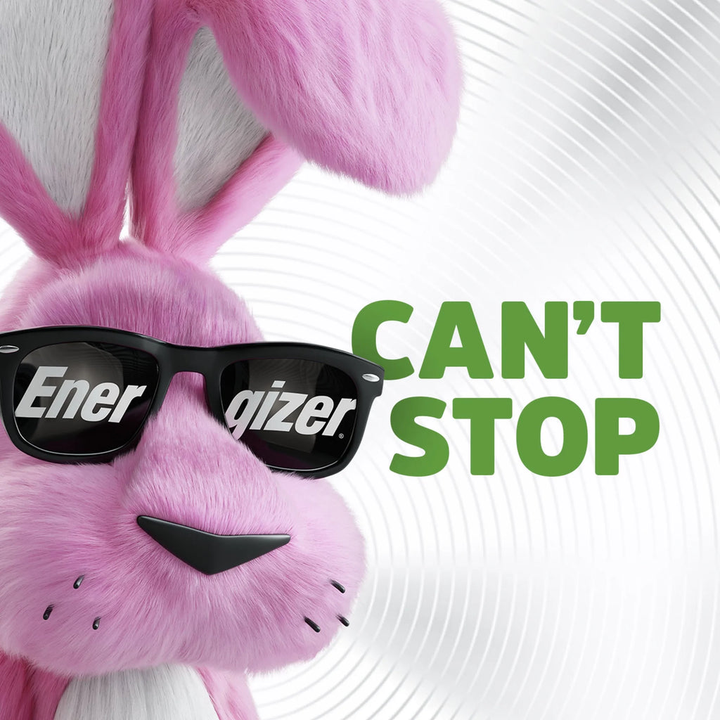 Rechargeable D Batteries (2 Pack), D Cell Batteries