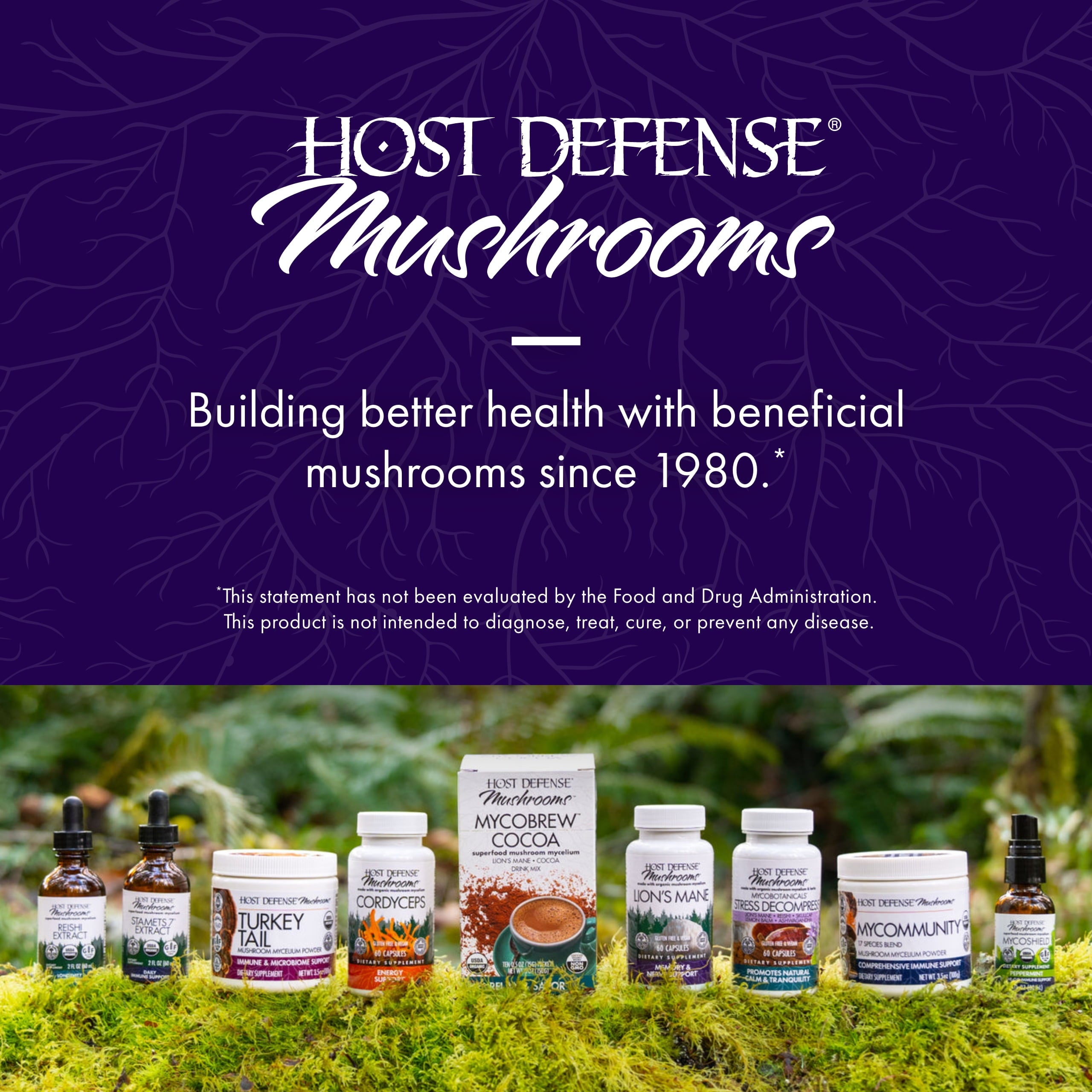 Host Defense Mycobotanicals Brain* Capsules - 60 Capsules (30 Servings)