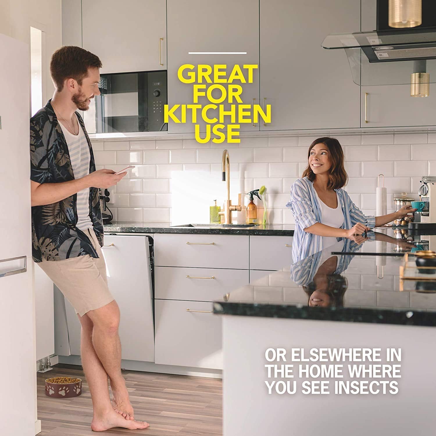 Ant and Roach Killer Aerosol Spray with Essential Oils (11 Ounce (Pack of 2))