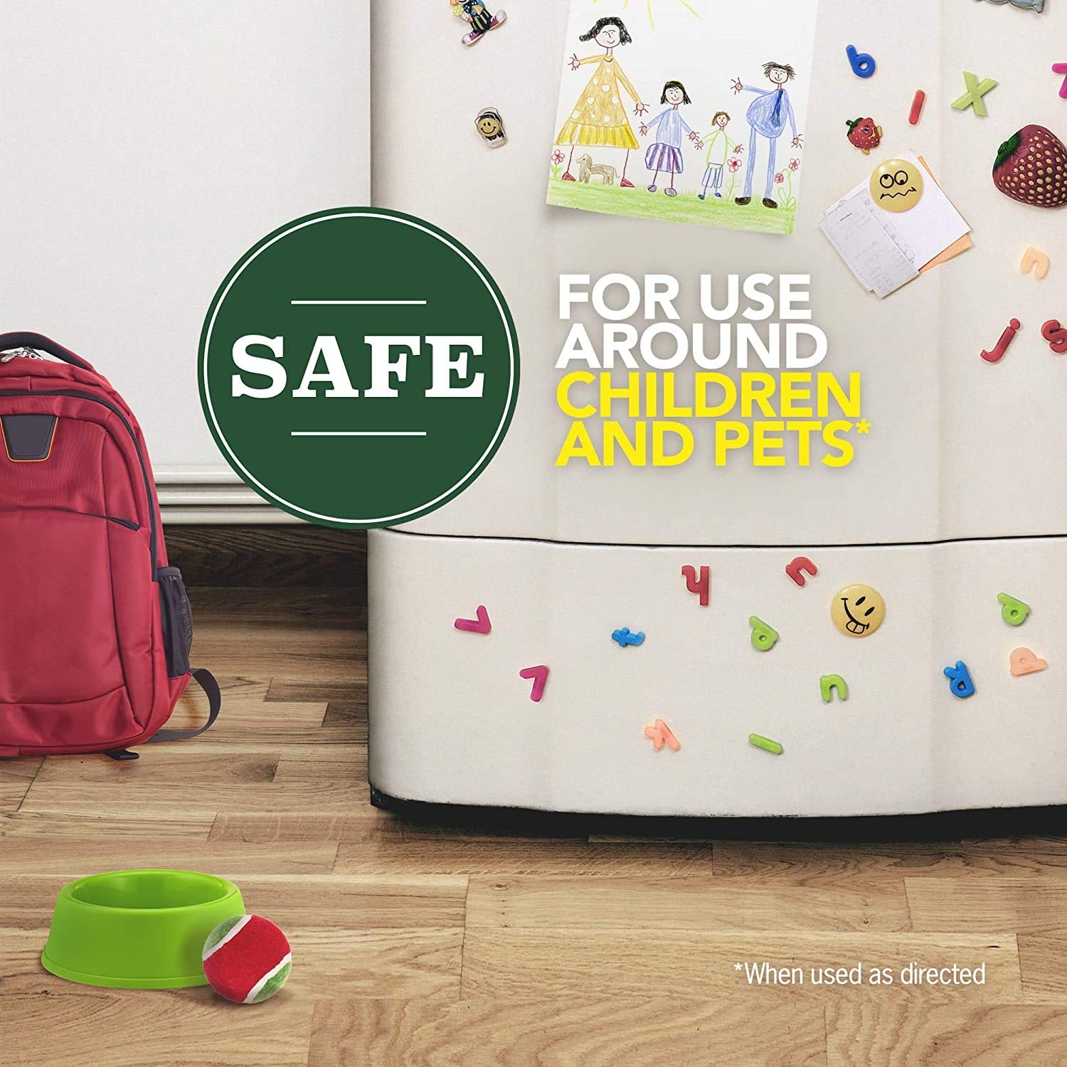 Ant and Roach Killer Aerosol Spray with Essential Oils (11 Ounce (Pack of 2))