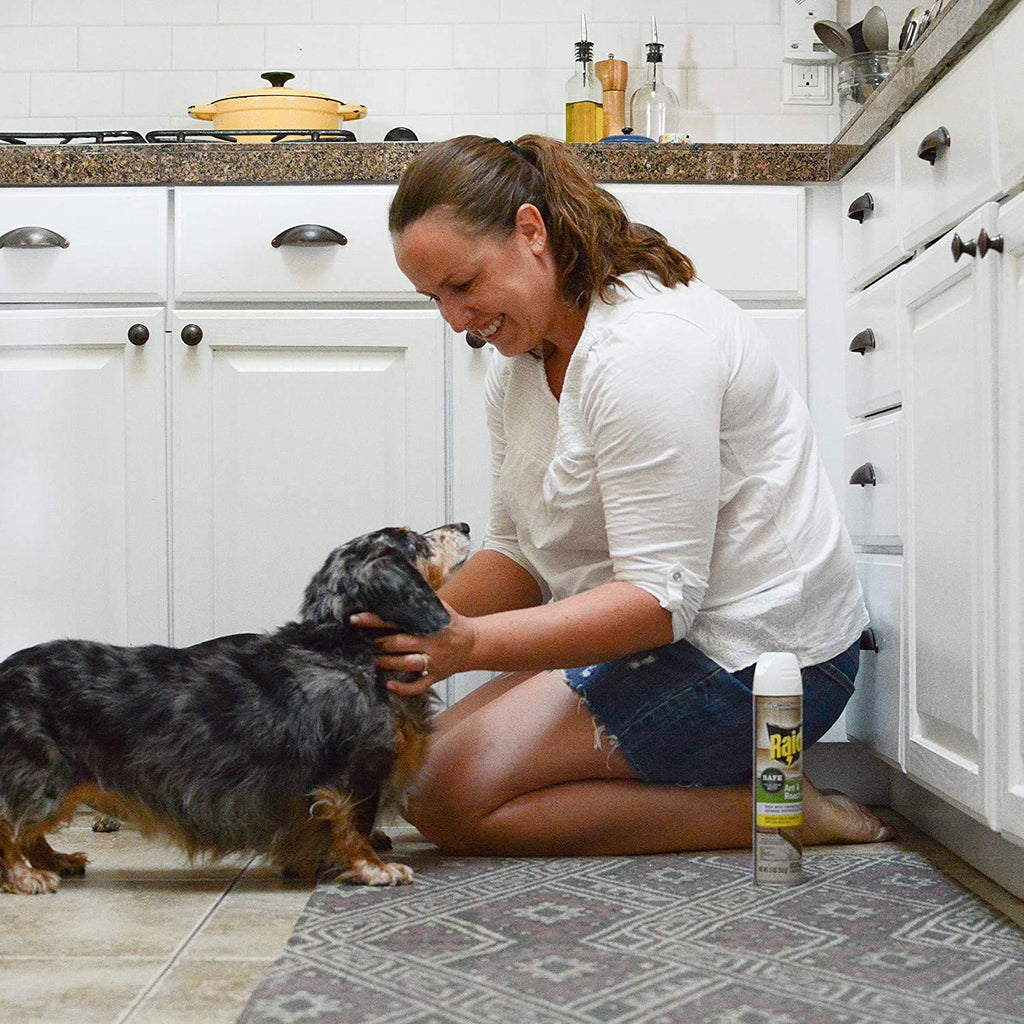 Ant and Roach Killer Aerosol Spray with Essential Oils (11 Ounce (Pack of 2))