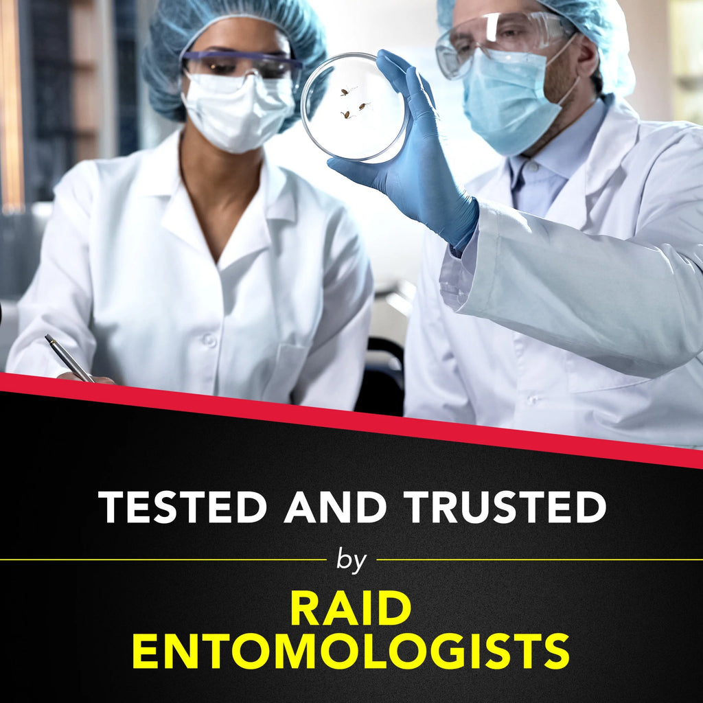 (3 Pack)  Ant and Roach Insect Killer Aerosol Insecticide, Lemon Scent, 17.5Oz