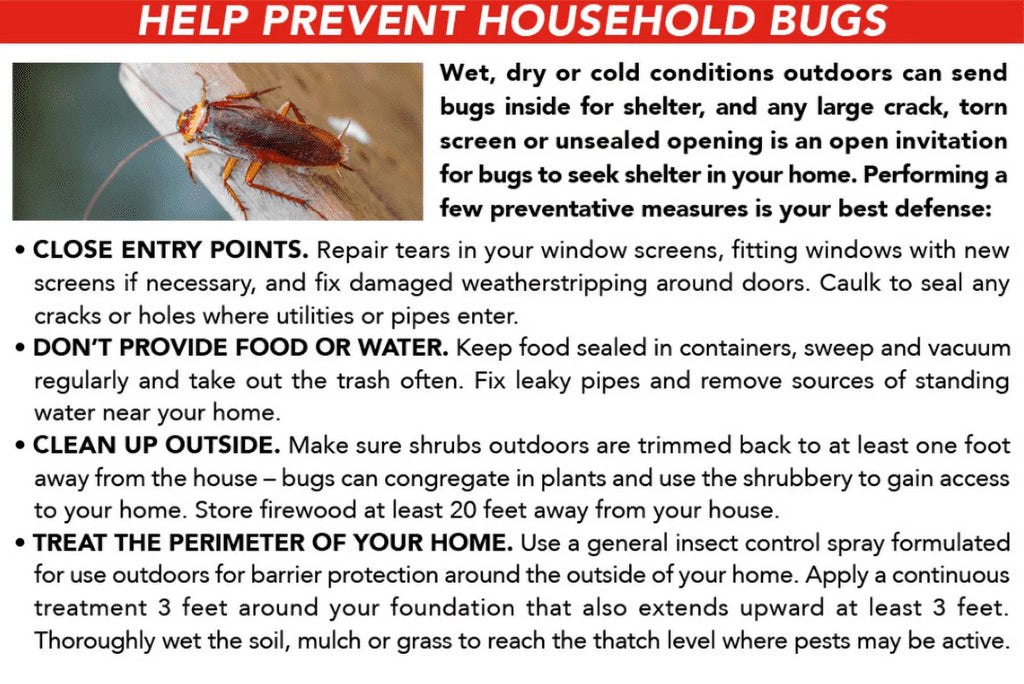 Ant, Roach & Spider Killer4, Aerosol Spray, 2/20-Ounce