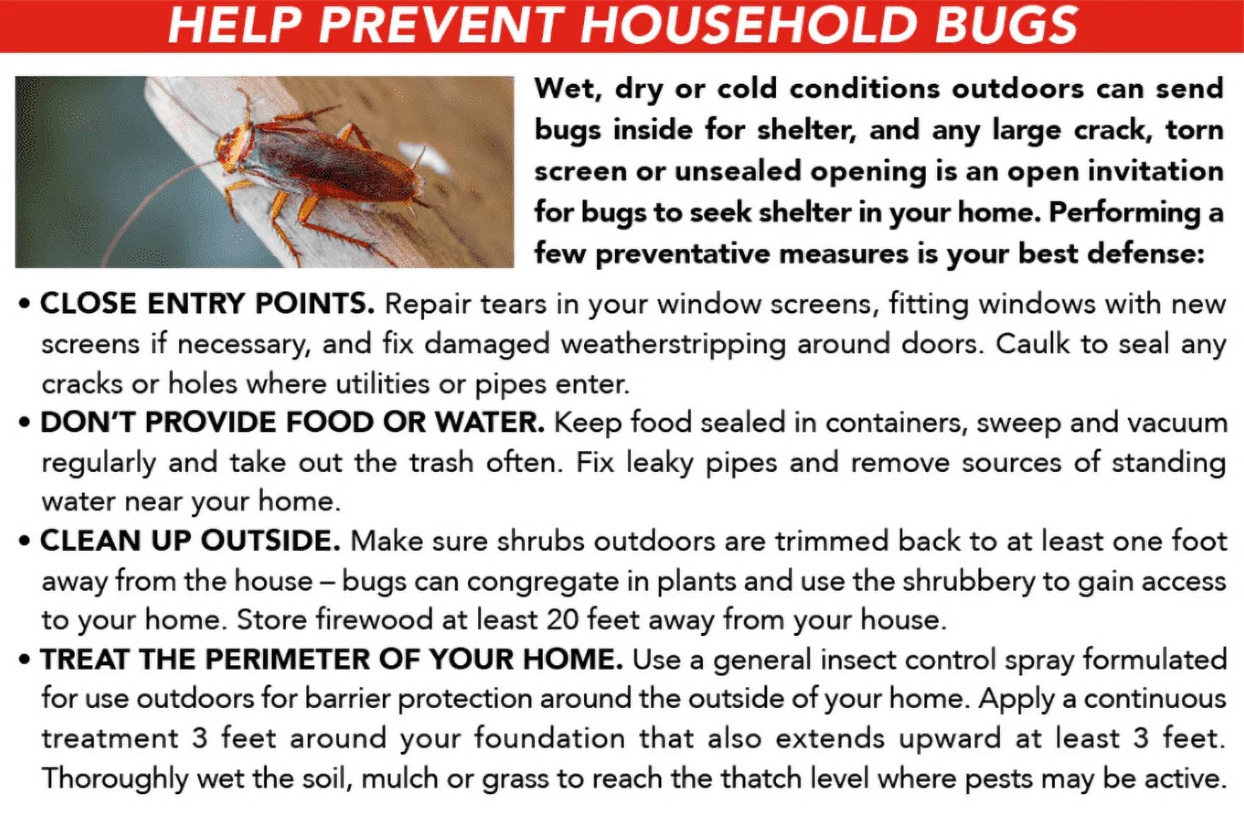 Ant, Roach & Spider Killer4, Aerosol Spray, 2/20-Ounce