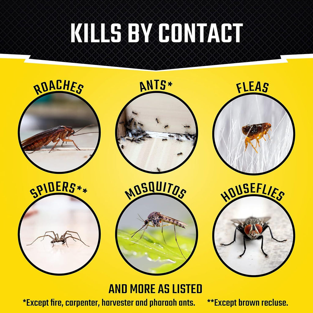 6 Can Fogger Bomb Insect Killer Bug Flies Roach Spider Indoor Bed Kill Shot Tick